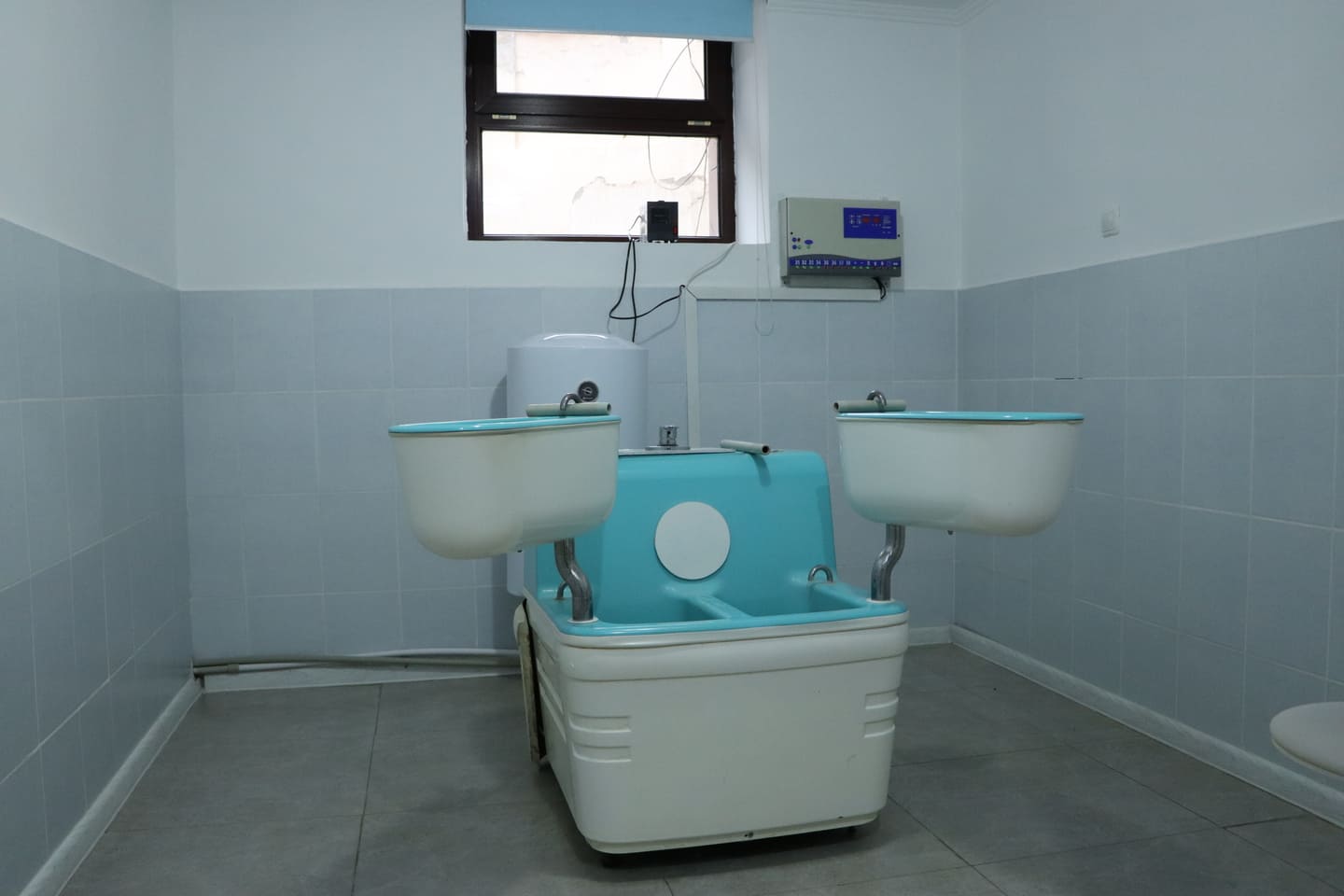 окси сарыагаш